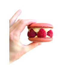 Macaron Moyen